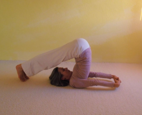 Pflug Halasana