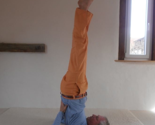 Schulterstand sarvangasana